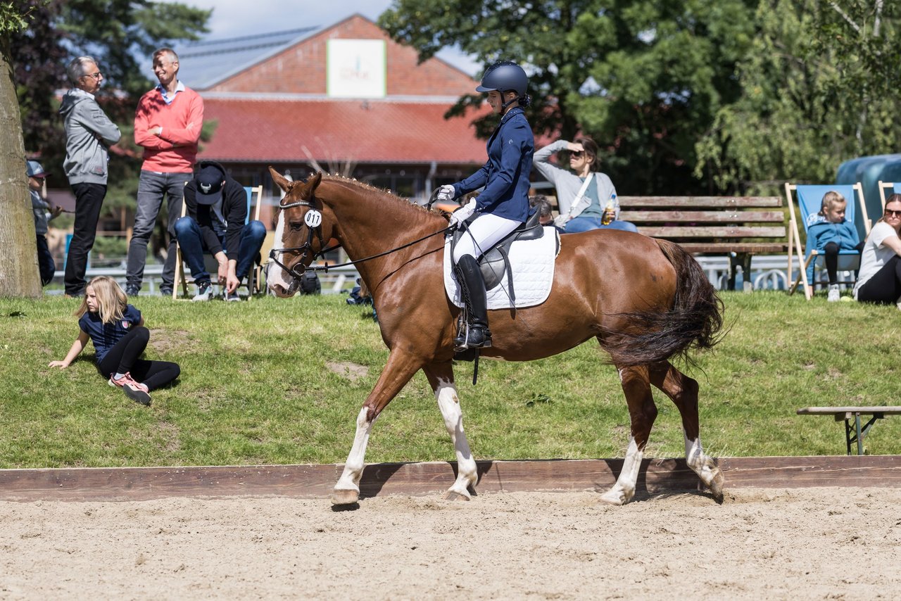 Bild 209 - Pony Akademie Turnier